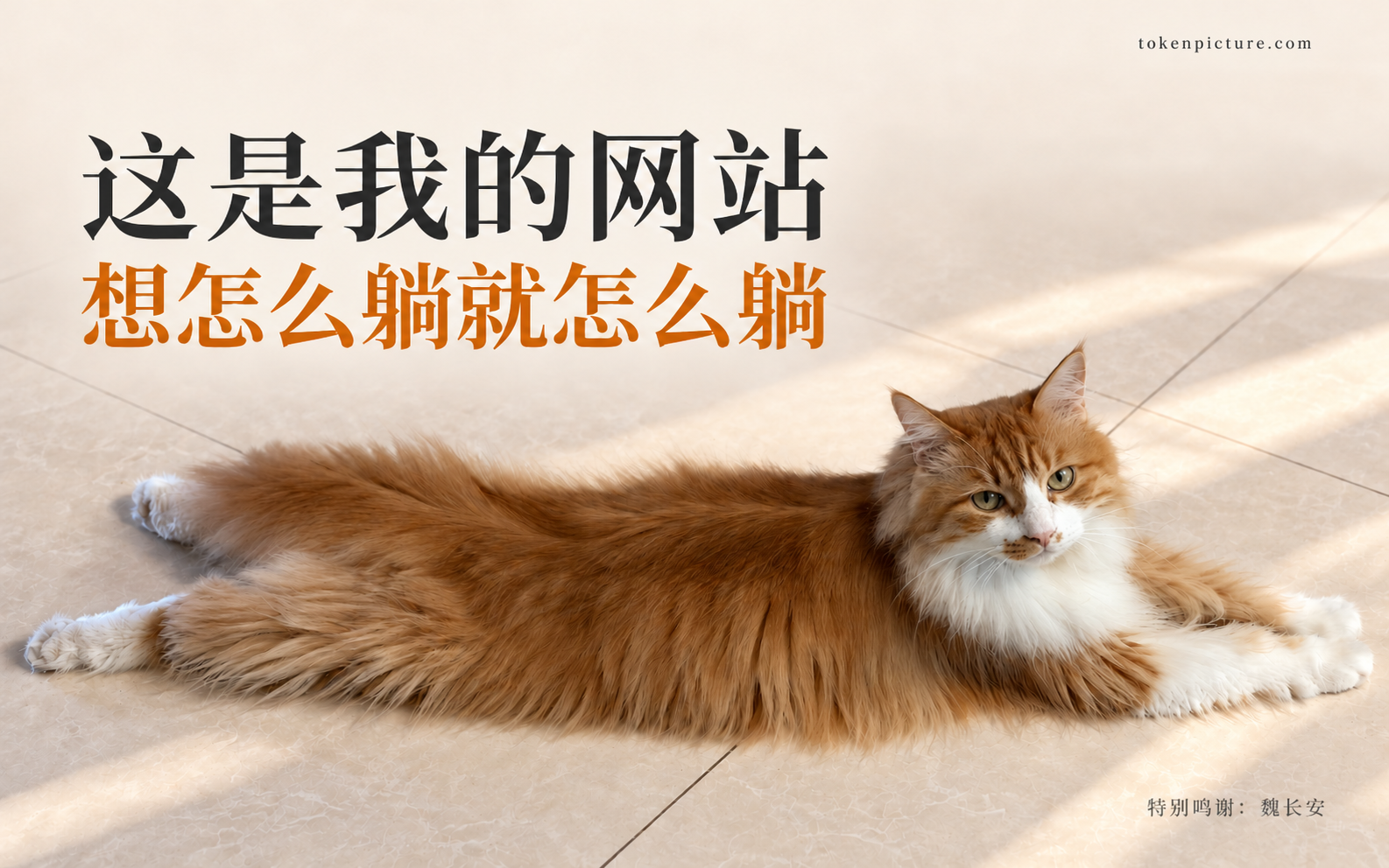 这是我的网站 想怎么躺就怎么躺